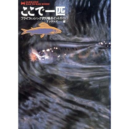 ここで一匹  フライフィッシング釣り場ポイントガイド　（送料無料） | 