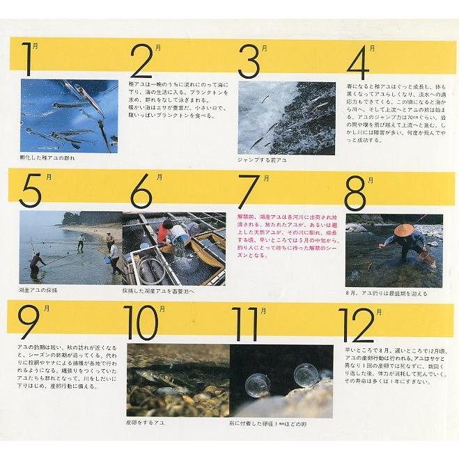 アユ: 生態と釣法 アユ 生態と釣法 ＜送料無料＞ : さかなの本屋さん ヤフー店 - 通販