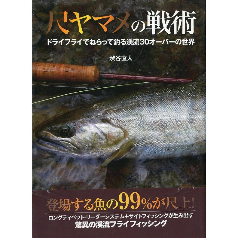 尺ヤマメの戦術　ドライフライでねらって釣る渓流30オーバーの世界　 | 
