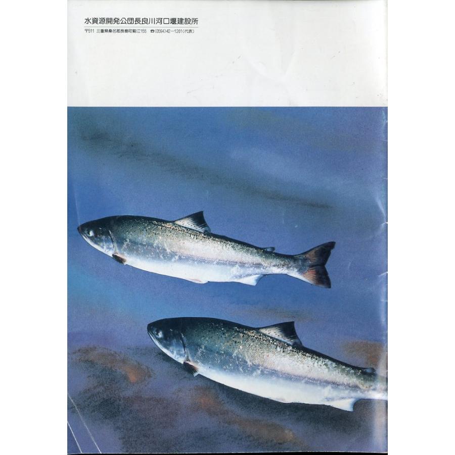 サツキマス　−水資源開発公団長良川河口堰建設所ー |  | 01