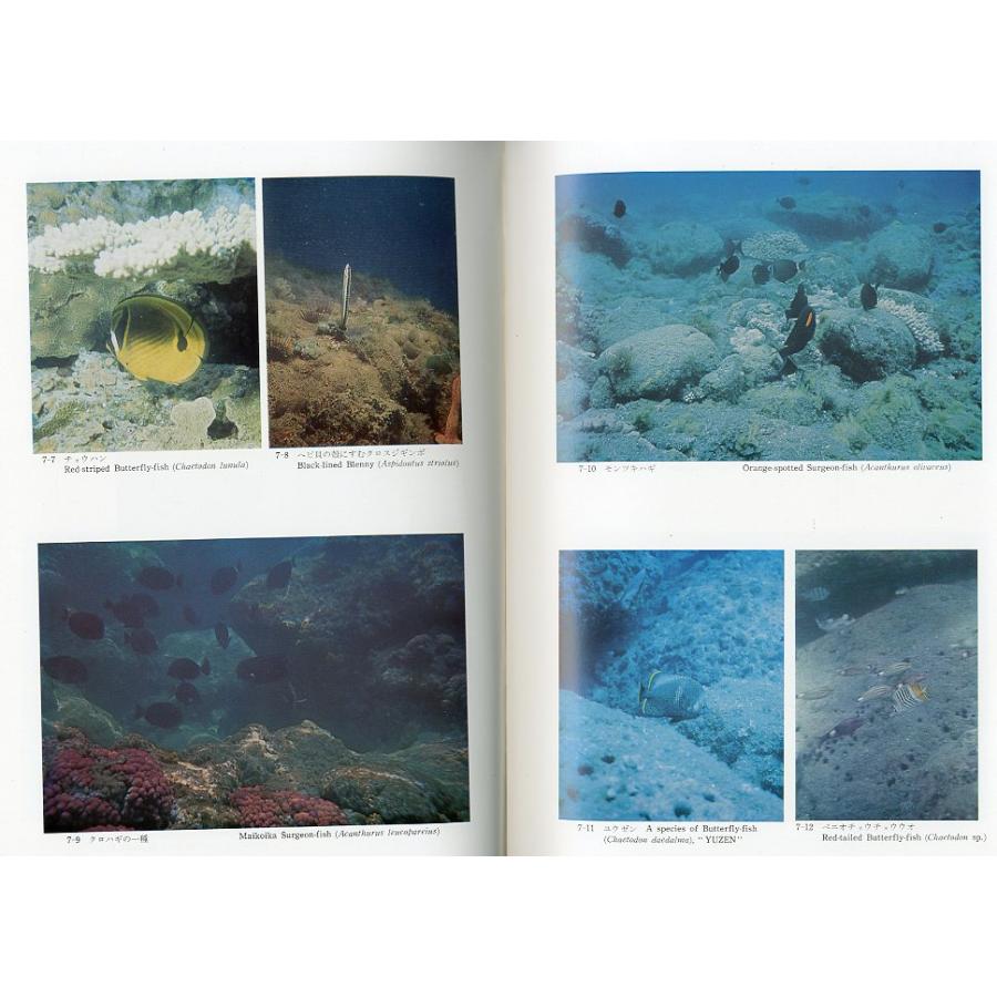 小笠原の自然　−原色写真編・解説編　2冊組ー |  | 06