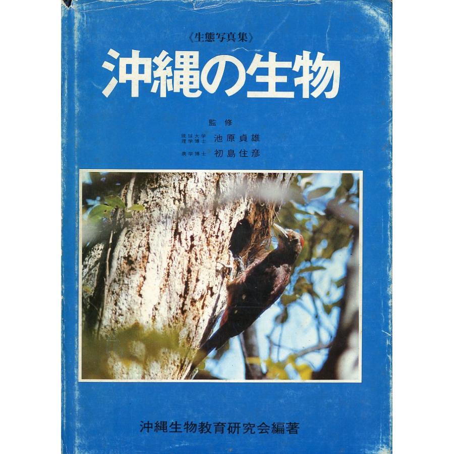ー生態写真集ー　沖縄の生物　 | 
