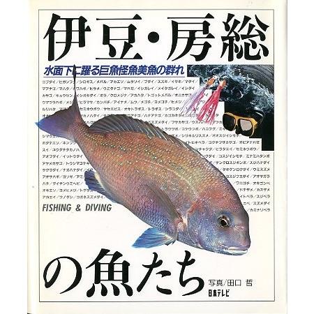 伊豆・房総の魚たち　−水面下に躍る巨魚怪魚美魚の群れー | 