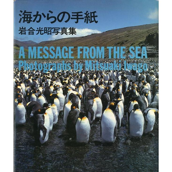 海からの手紙　岩合光昭写真集　　 | 