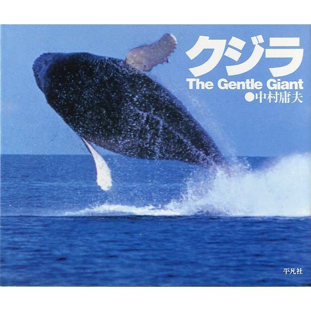 クジラ The Gentle Giant : さかなの本屋さん ヤフー店 - 通販 - Yahoo