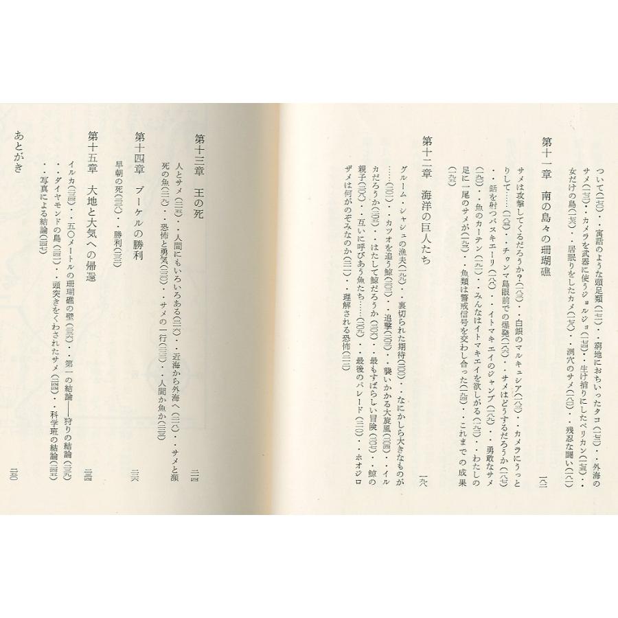 青い大陸　＜送料無料＞ |  | 04
