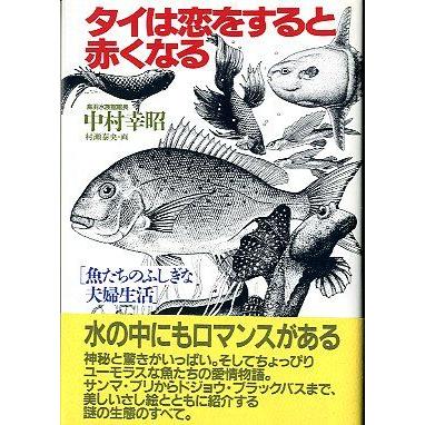 「タイは恋をすると赤くなる」　 | 