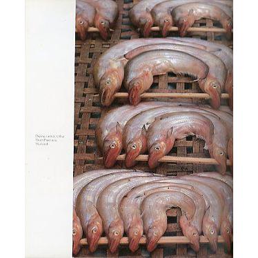 ＳＥＡＦＡＲＭ |  | 01