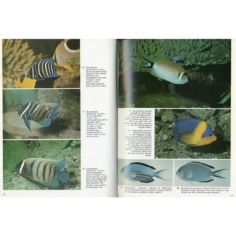 [英語]　PACIFIC MARINE FISHES  Book１ |  | 01