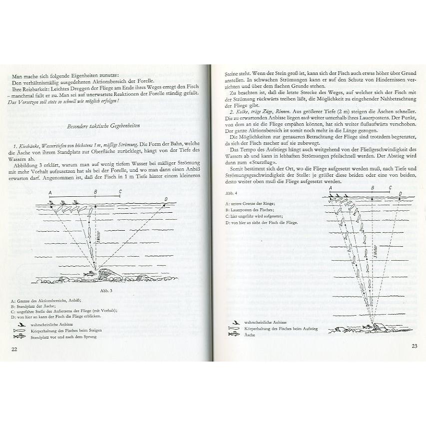 -ドイツ語-  Erlebtes Fliegenfischen　 |  | 01