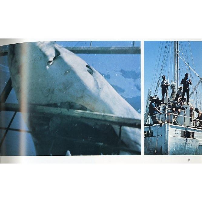 ー英語ー　SHARKS and SHIPWRECKS　＜送料無料＞ |  | 01