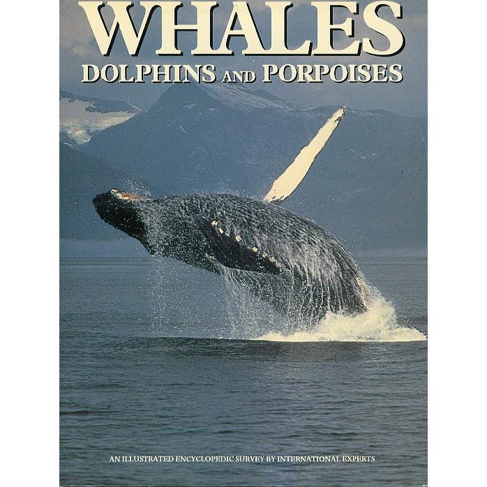 WHALES   DOLPHINS AND  PORPOISES　 | 