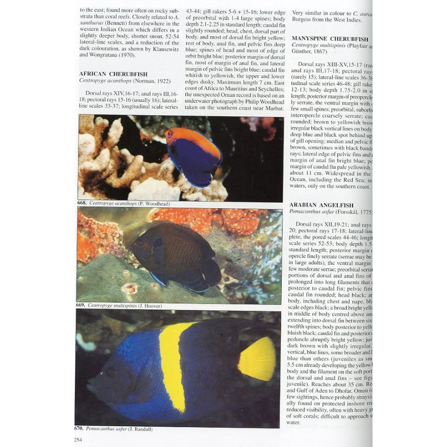 [英語]　COASTAL FISHES of OMAN　＜送料無料＞ |  | 01