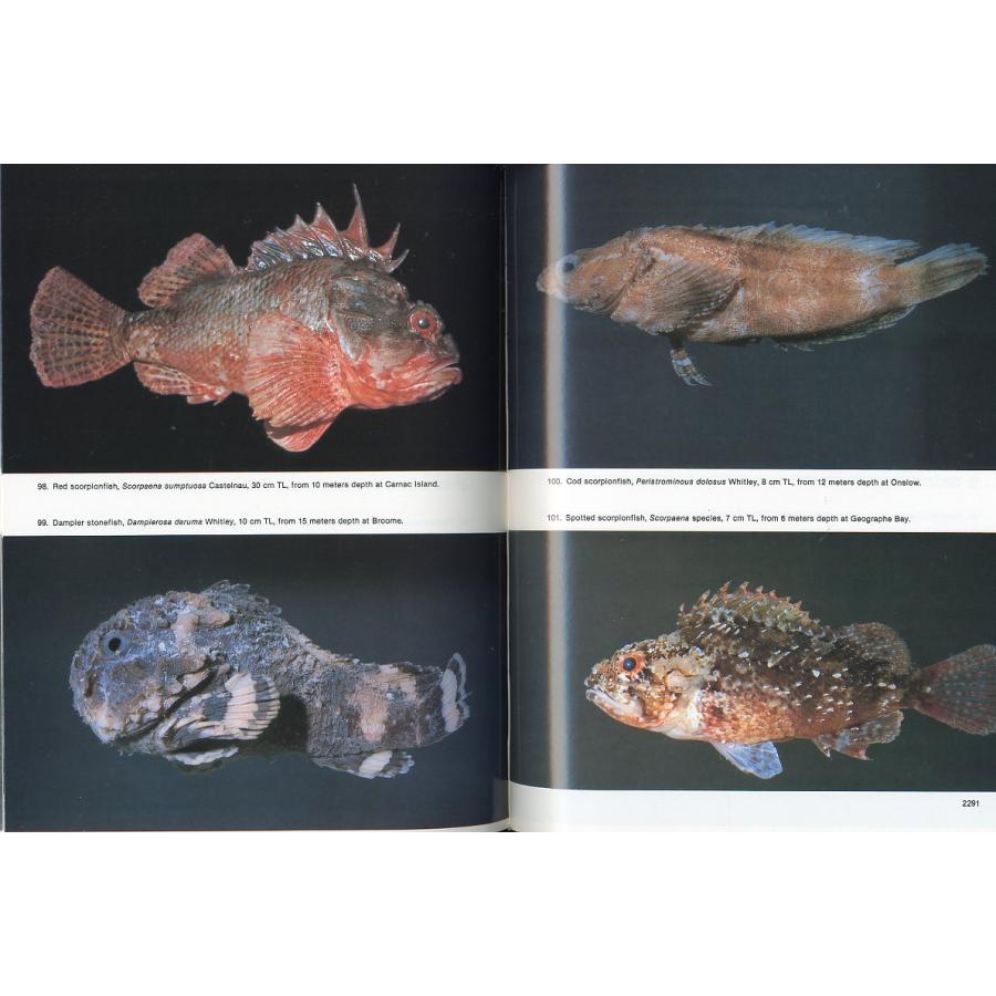[英語]　pacific marine fishes book9  fishes of western australia　 |  | 01