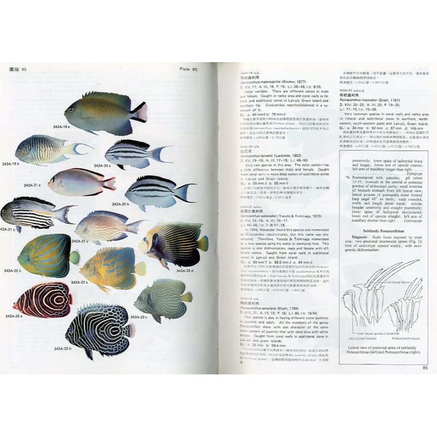 アクアリウムシリーズ 他　魚類図鑑 7冊セット メダカ・金魚・熱帯魚 DVDつき | 小学館の図鑑NEOシリーズ | 小学館