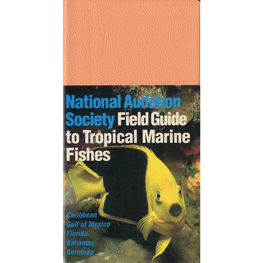 [英語]　National Audubon Society Field Guide to Tropical Marine Fishes　 | 