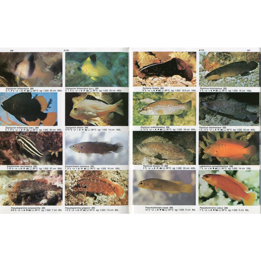 英語] DR.BURGESS'S ATLAS of MARINE AQUARIUM FISHES : さかなの本屋