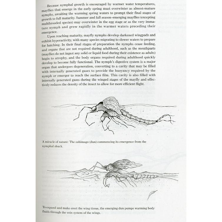 [英語]   「Mayflies」An Angler's Study of Trout Water Ephemeroptera |  | 01