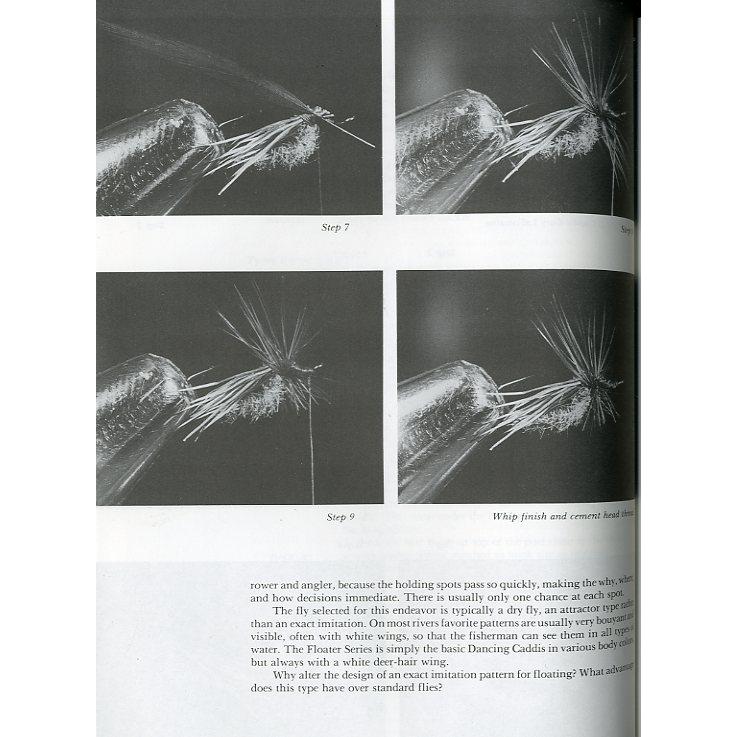 [英語]   「CADDISFLIES」 |  | 02