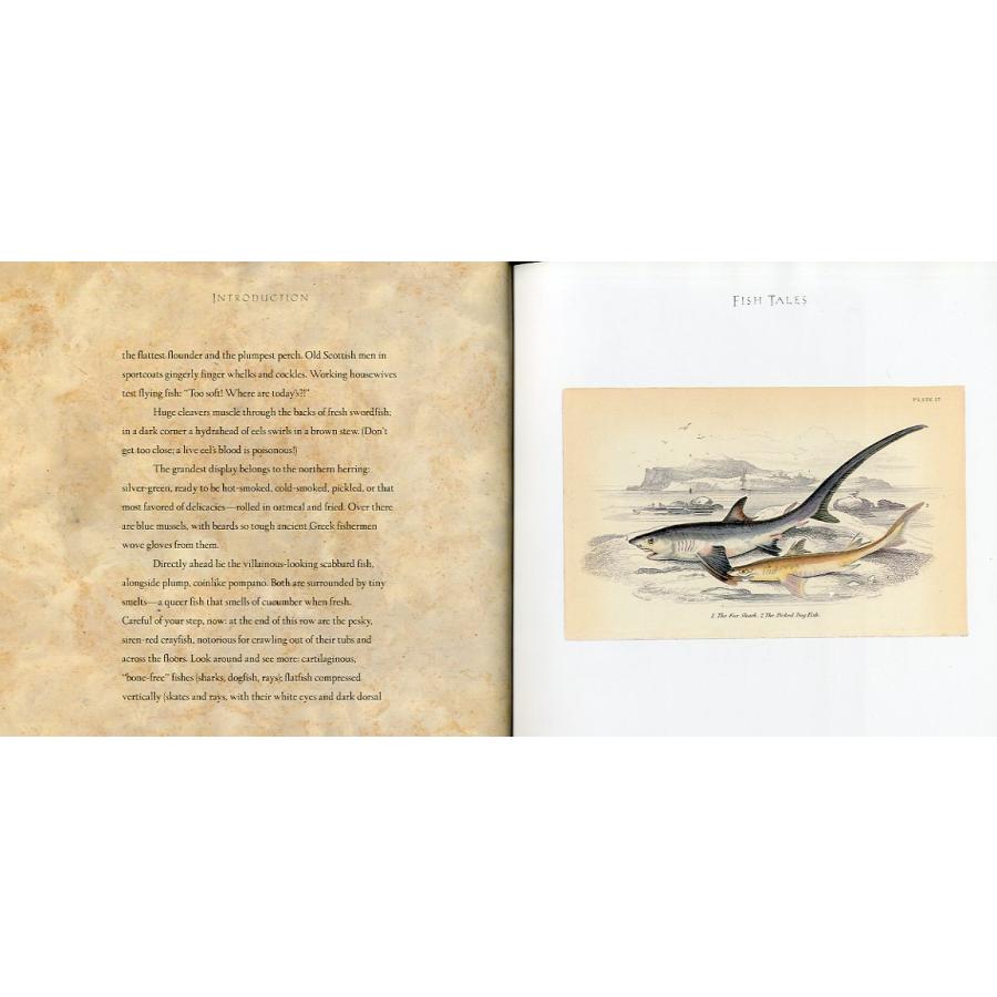 [英語]  FISH TALES |  | 01