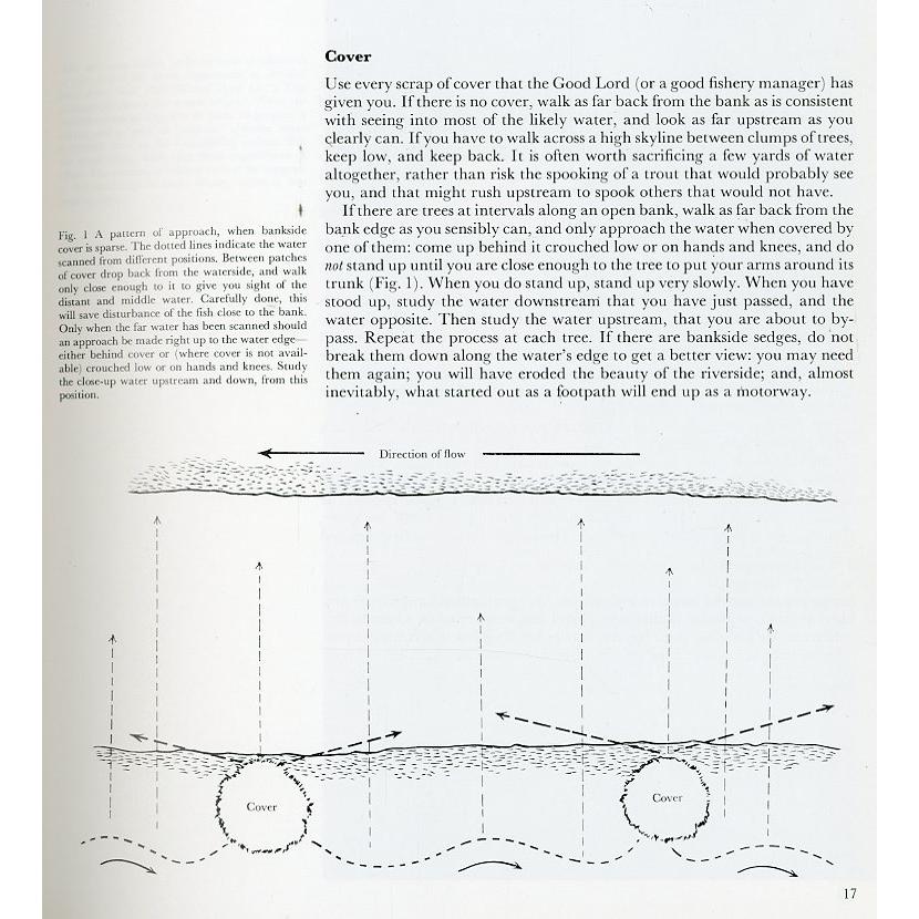 [英語]  「The TROUT and the FLY」 |  | 01