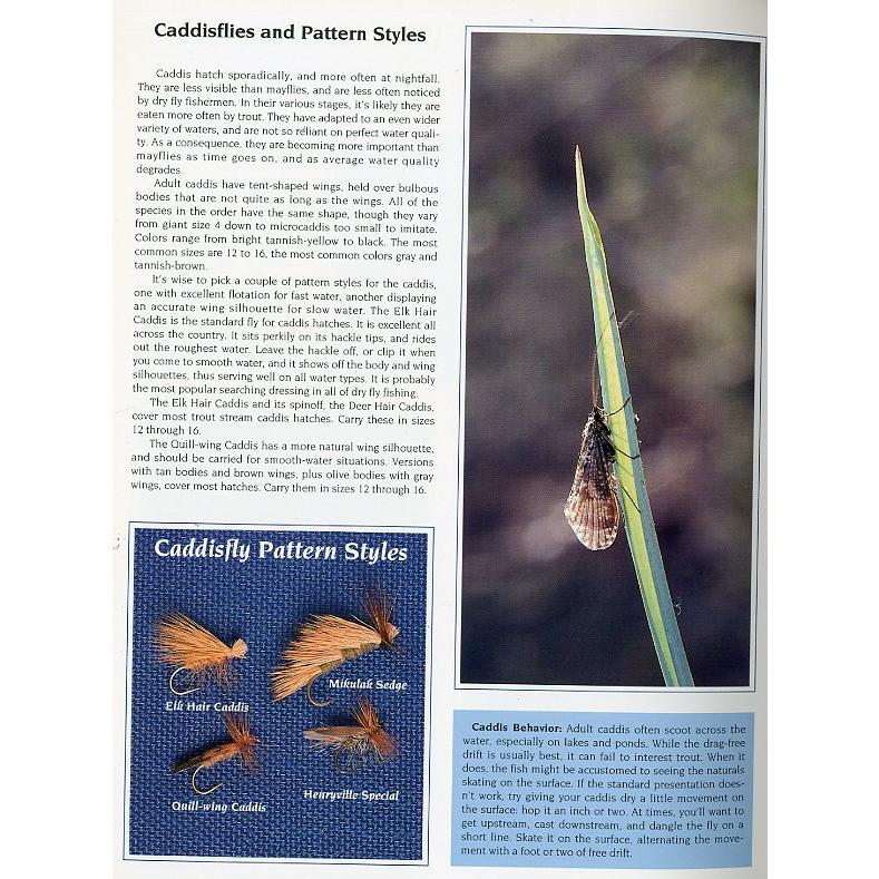 [英語] Dry Fly Fishing |  | 02