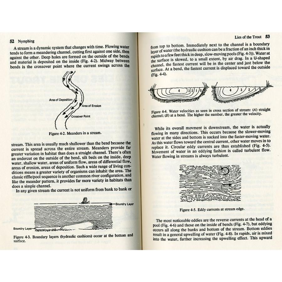 [英語]NYMPHING  -A BASIC BOOK- |  | 02