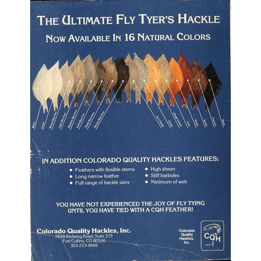 [英語] Fly Tyer PATTERN BIBLE  -672 Flies in Full Color with Dressings- |  | 01