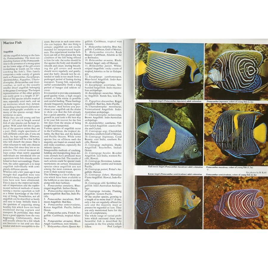 【Tetra】Aquarium Digest International  No.19 |  | 01