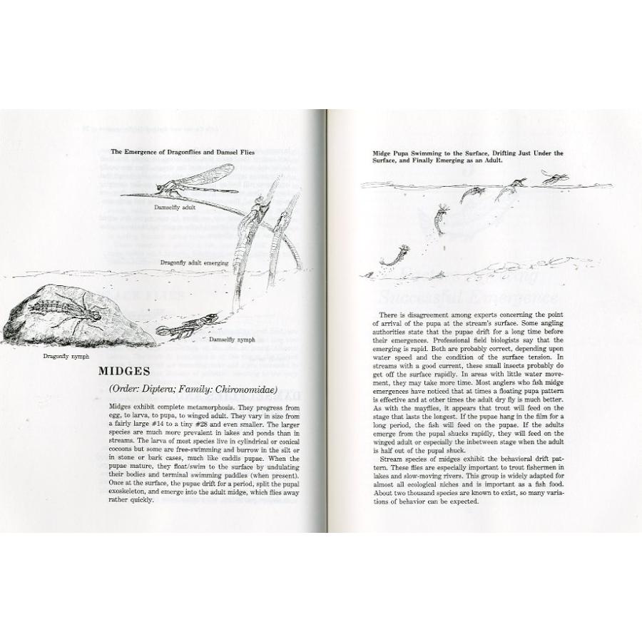 [英語] EMERGERS |  | 01