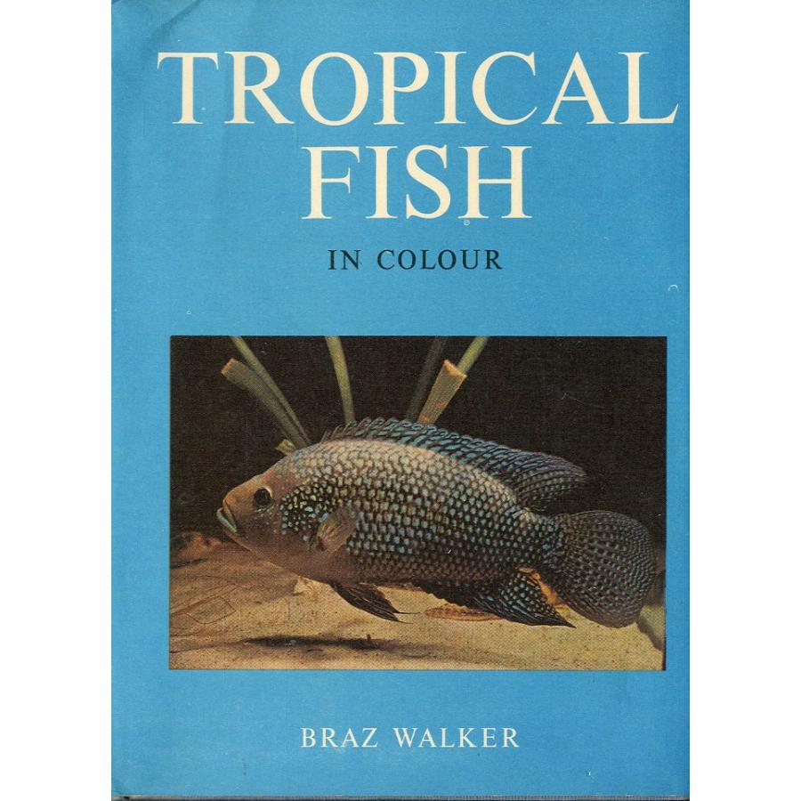 [英語] TROPICAL  FISH  IN COLOUR | 