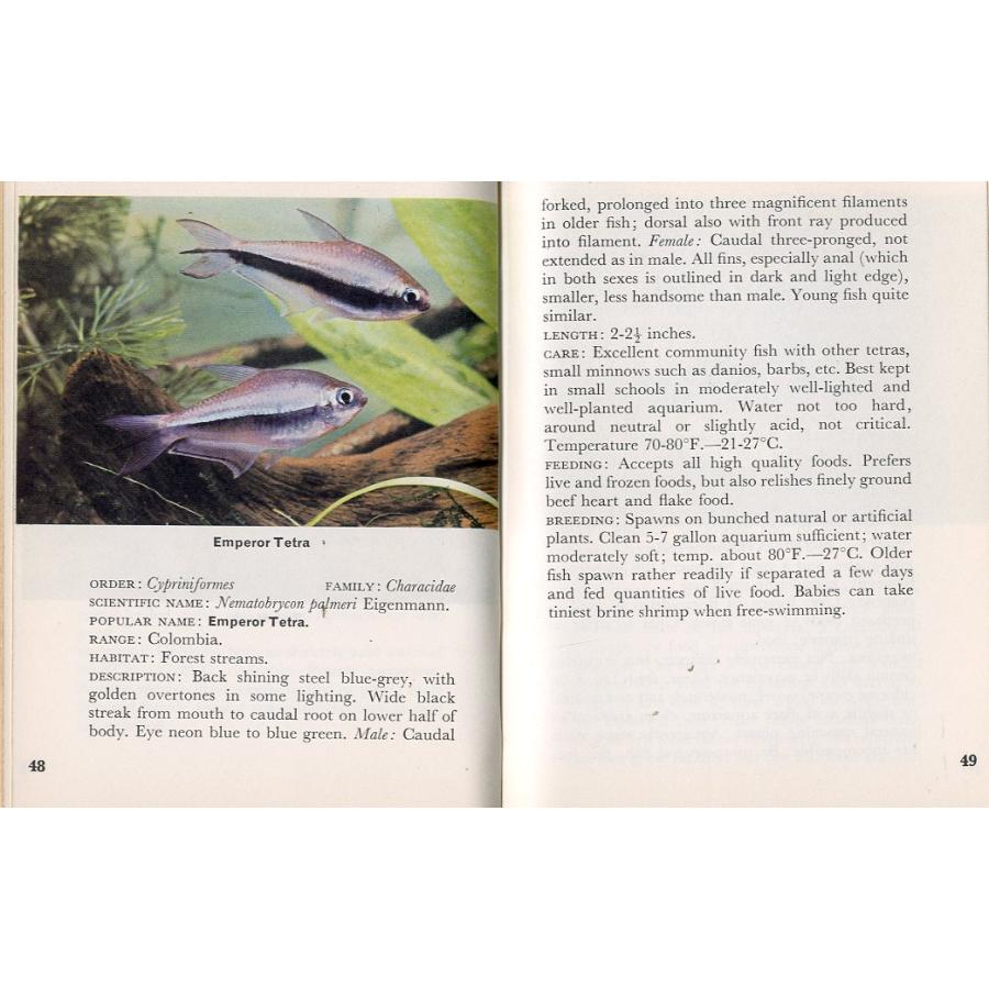 [英語] TROPICAL  FISH  IN COLOUR |  | 02