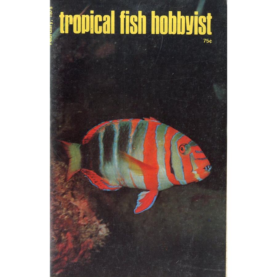 Tropical  Fish  Hobbyist (トロピカルフィッシュホビイスト）1975年2月号 | 