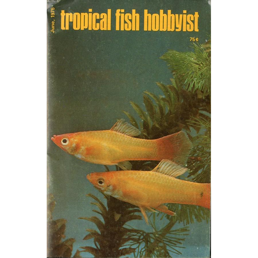 Tropical  Fish  Hobbyist (トロピカルフィッシュホビイスト）1975年6月号 | 