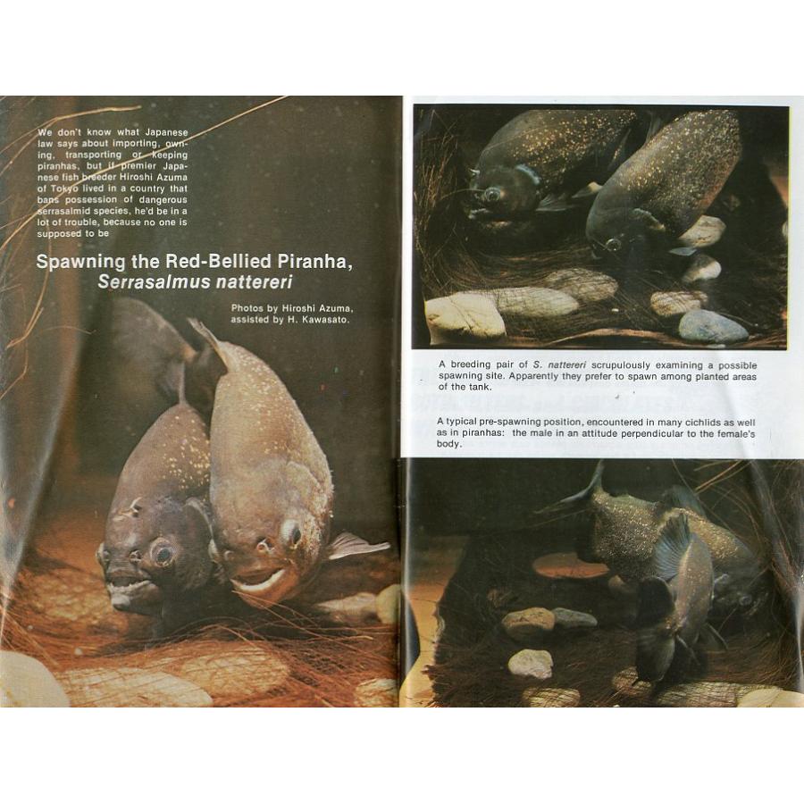 Tropical  Fish  Hobbyist (トロピカルフィッシュホビイスト）1975年7月号 |  | 02