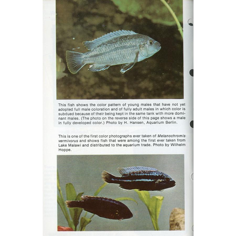 Tropical  Fish  Hobbyist (トロピカルフィッシュホビイスト）1975年11月号 |  | 02