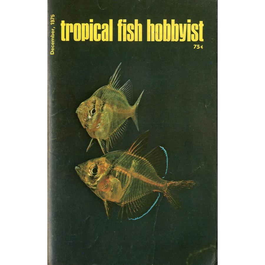 Tropical  Fish  Hobbyist (トロピカルフィッシュホビイスト）1975年12月号 | 