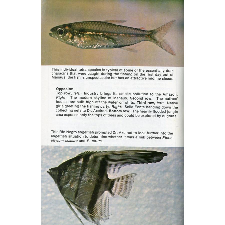 Tropical  Fish  Hobbyist (トロピカルフィッシュホビイスト）1976年1月号 |  | 02