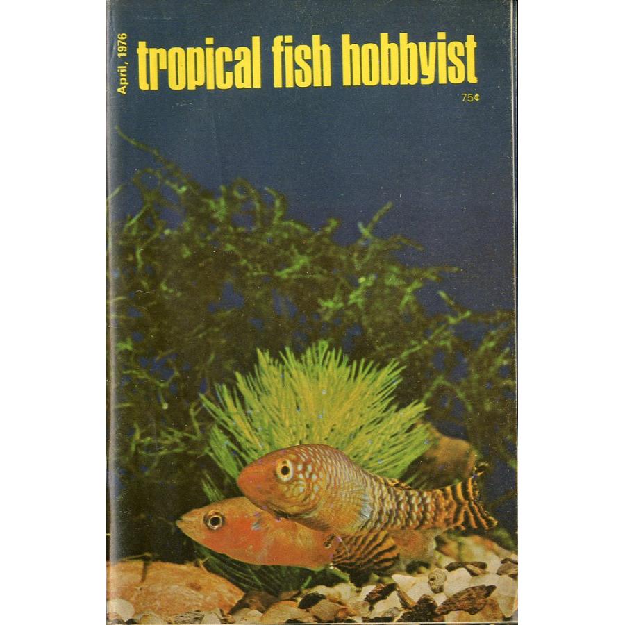 Tropical  Fish  Hobbyist (トロピカルフィッシュホビイスト）1976年4月号 | 