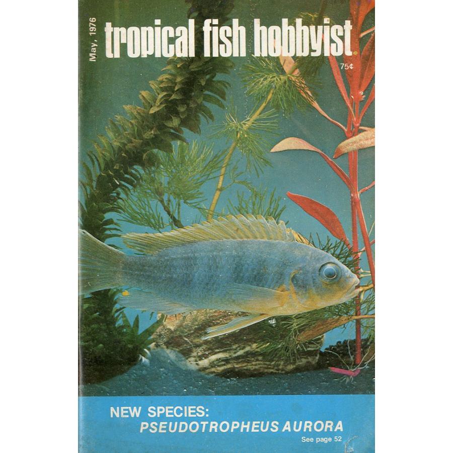 Tropical  Fish  Hobbyist (トロピカルフィッシュホビイスト）1976年5月号 | 