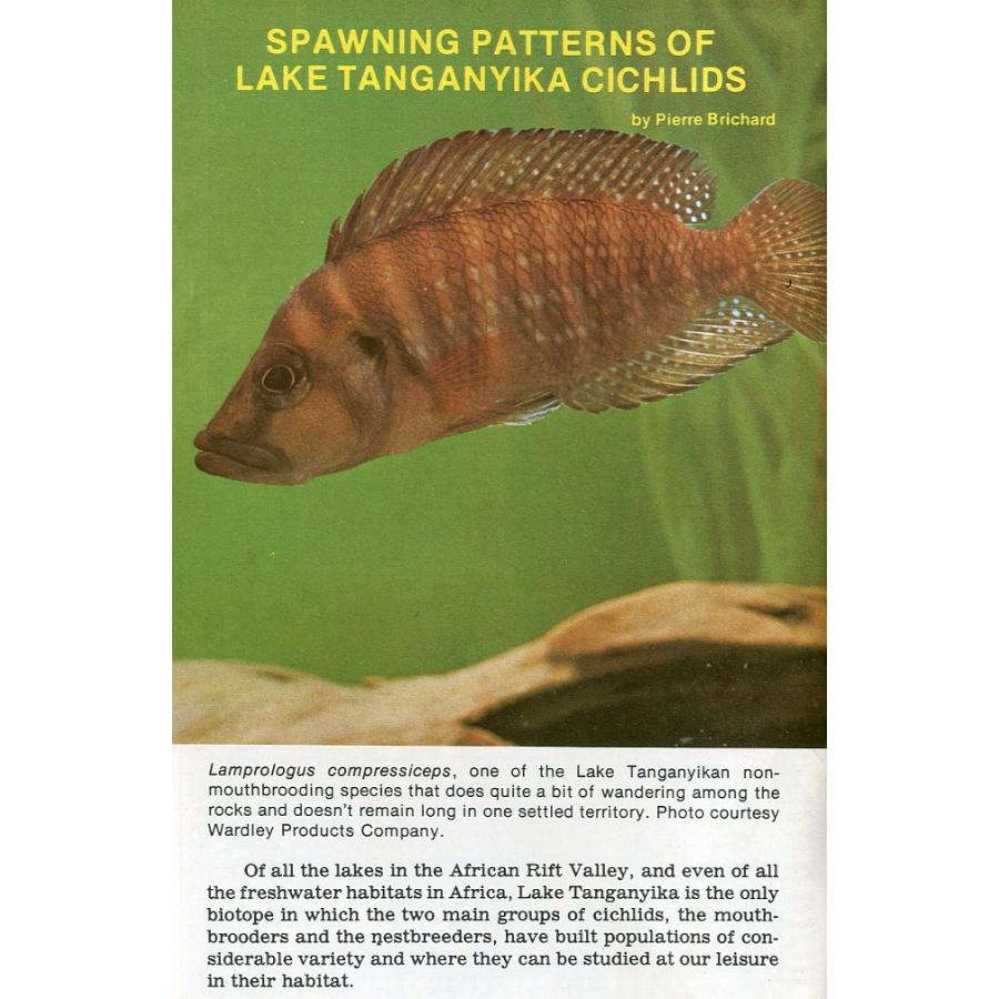 Tropical  Fish  Hobbyist (トロピカルフィッシュホビイスト）1976年6月号 |  | 02