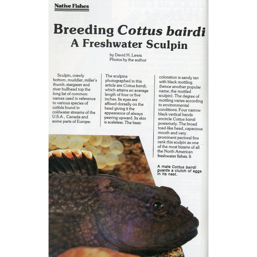 Tropical  Fish  Hobbyist (トロピカルフィッシュホビイスト）1978年4月号　 |  | 02