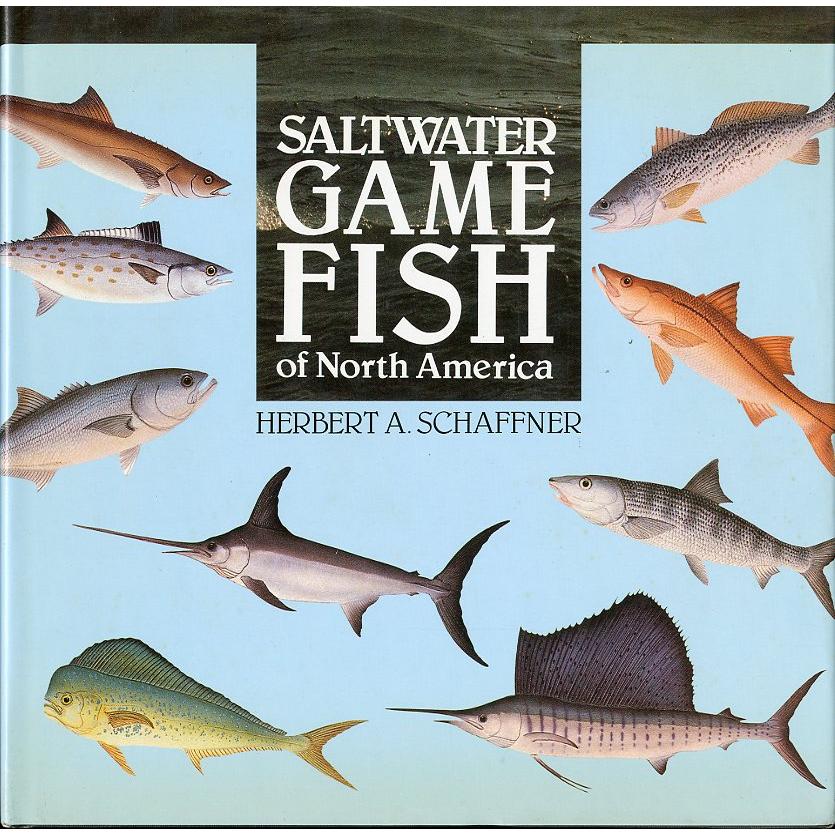 [英語]SALTWATER GAME FISH OF North America | 