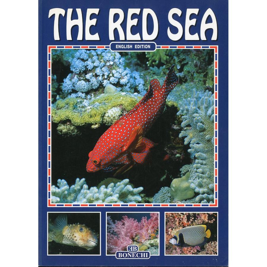 [英語] THE  RED  SEA | 