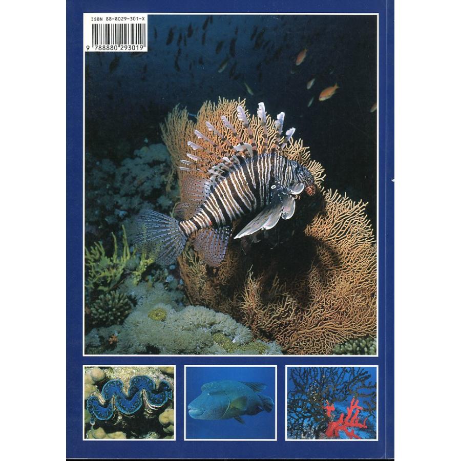 [英語] THE  RED  SEA |  | 01