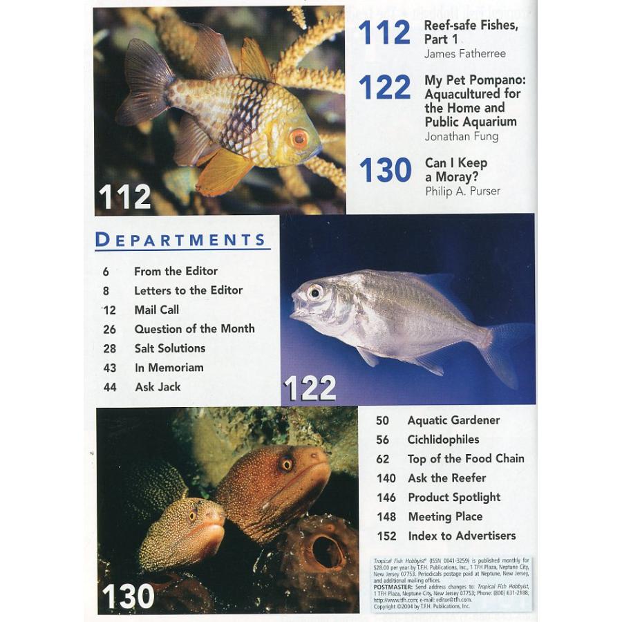Tropical  Fish  Hobbyist (トロピカルフィッシュホビイスト）2004年2月号 |  | 02