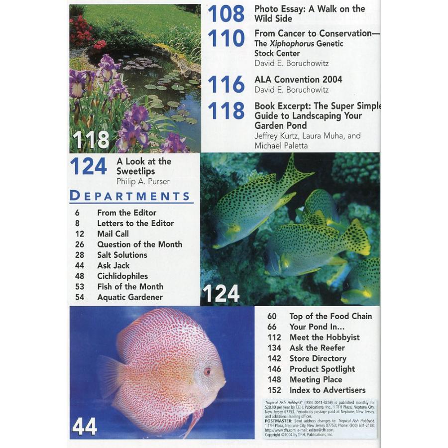 Tropical  Fish  Hobbyist (トロピカルフィッシュホビイスト）2004年3月号 |  | 02