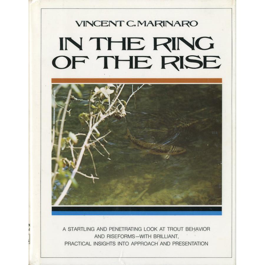 [英語] IN  THE  RING  OF  THE  RISE | 