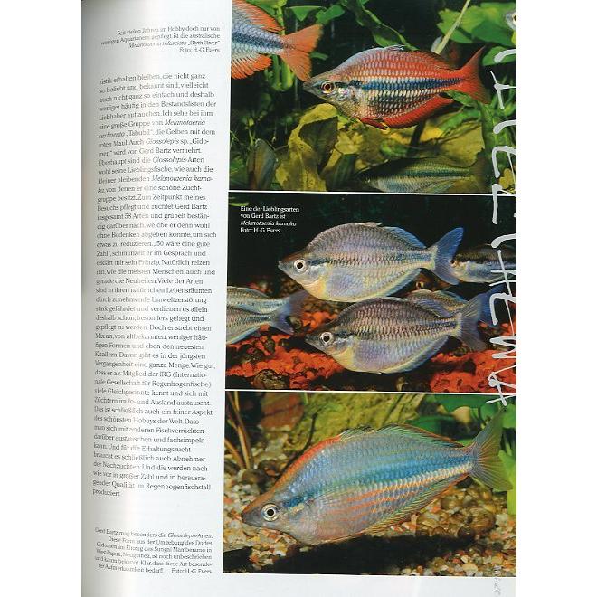 AMAZONAS（アマゾナス）　2015年7月/8月号　Ｎｏ．６０　（送料無料） |  | 02