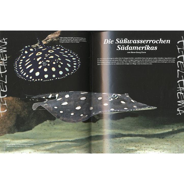 AMAZONAS（アマゾナス）　2015年9月/10月号　Ｎｏ．６1　（送料無料） |  | 02